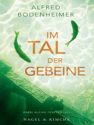cover image of Im Tal der Gebeine
